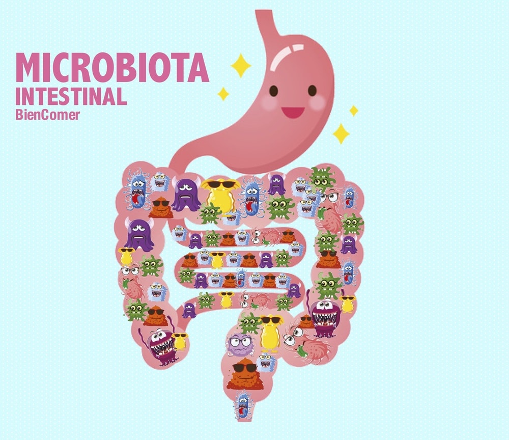 Microbiota Intestinal El Secreto Para Tu Salud Salud Diez 0769
